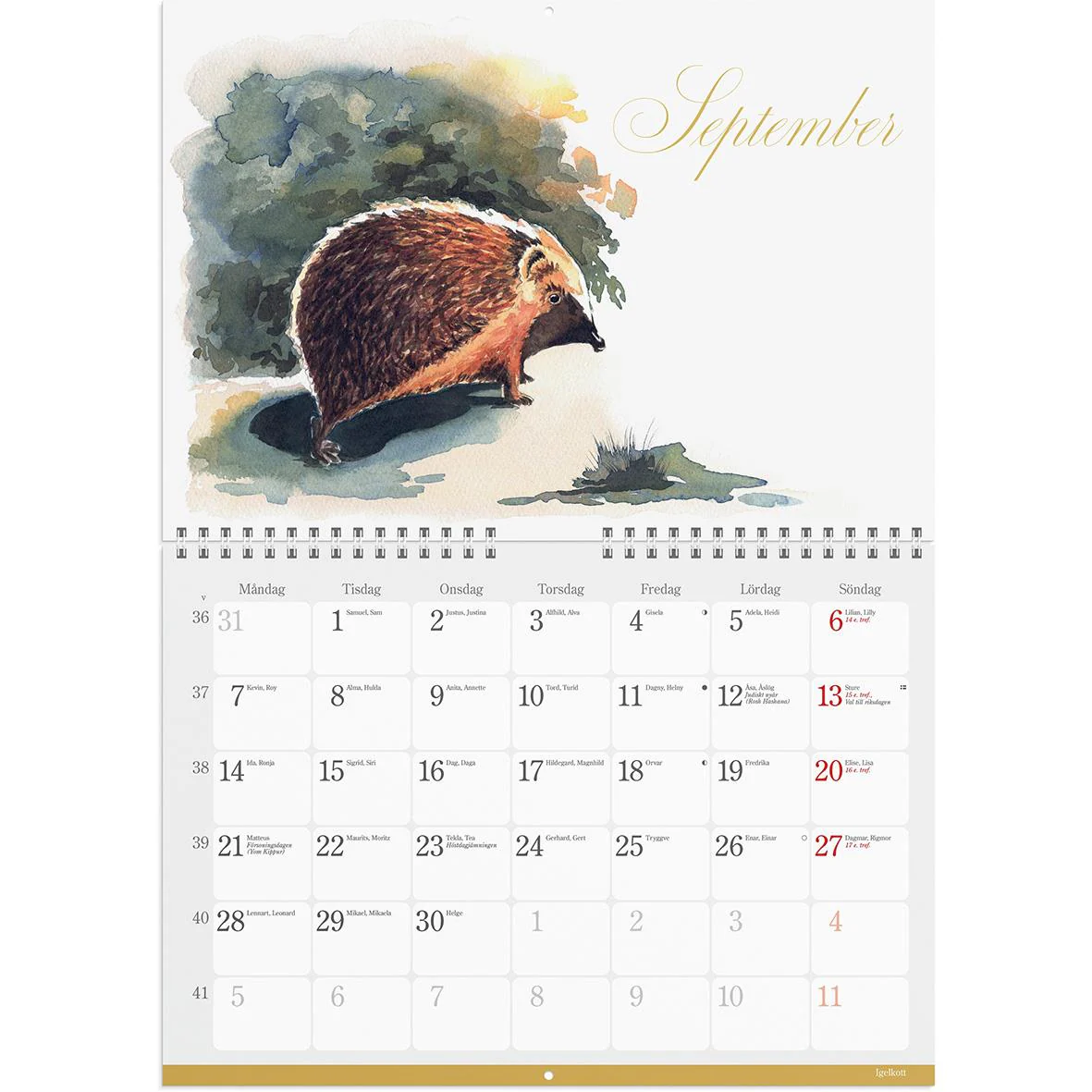 Väggkalender Burde 1728 Naturalmanacka 2026 - Bild 4