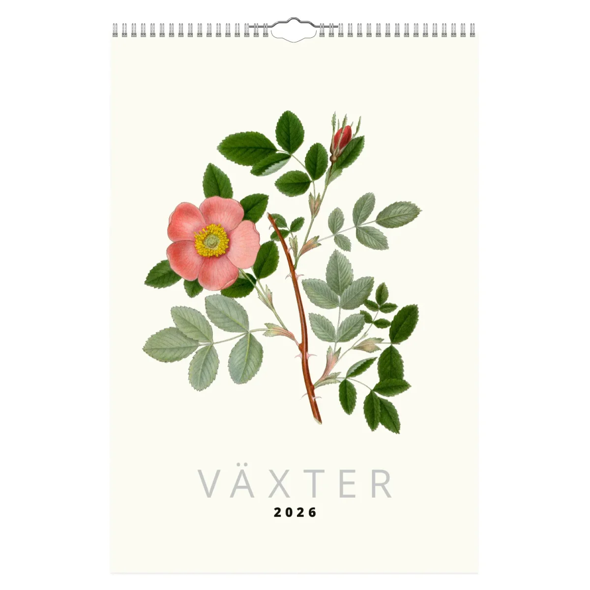 Design Collection Växter | 2026