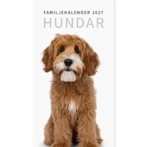 Familjekalender Hundar 2027