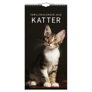 Familjekalender katter  2026