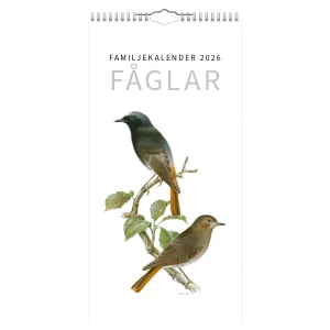 Familjekalender Fåglar 2026