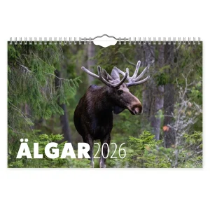 Väggkalender Älgar | 2026
