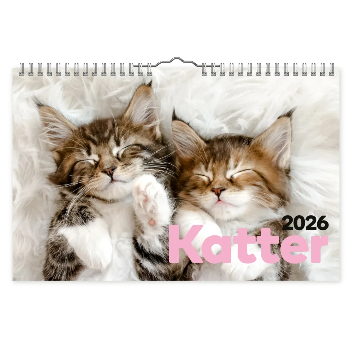 Katter- A4 väggkalender | 2026 - Bild 2