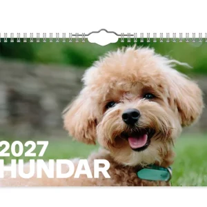 Hundar- A4 väggkalender | 2027