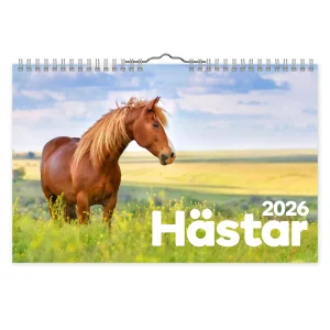Hästar- A4  väggkalender | 2026