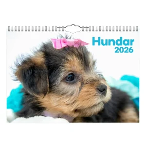 Hundar Liten väggkalender 2026