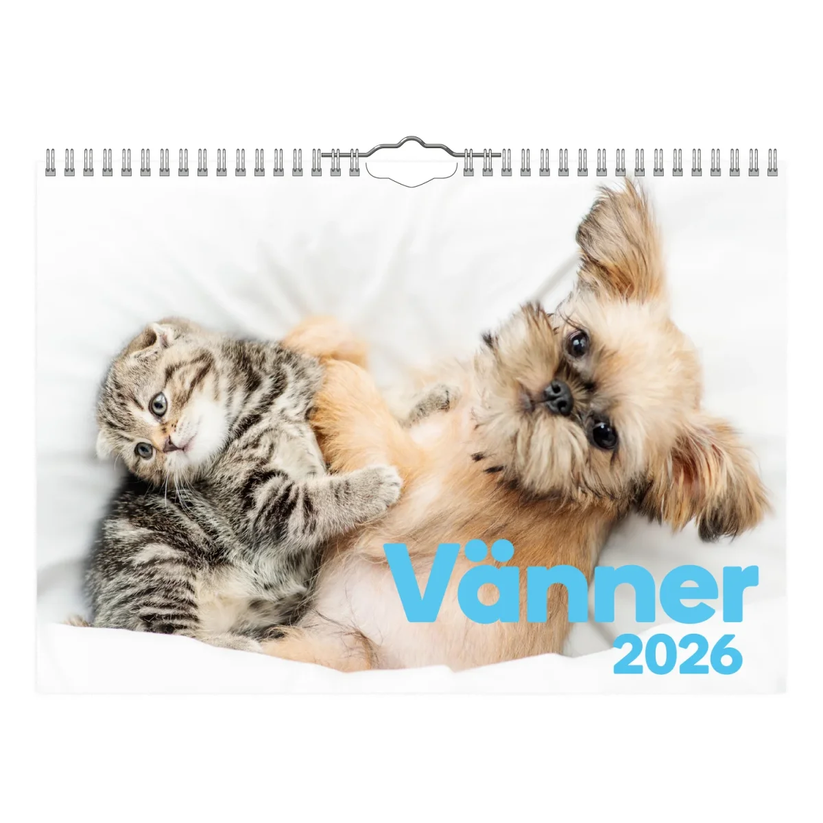 Vänner-Liten väggkalender | 2026 - Bild 2
