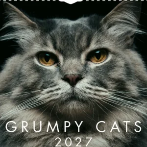 Grumpy Cats Mini väggkalender  2027