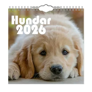 Hundar Mini väggkalender 2026