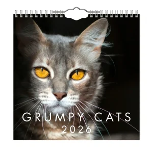 Grumpy Cats Mini väggkalender  2026