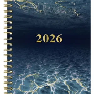 A6 Ocean12 mån -2026