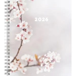 A5 Cherry 12 mån | 2026