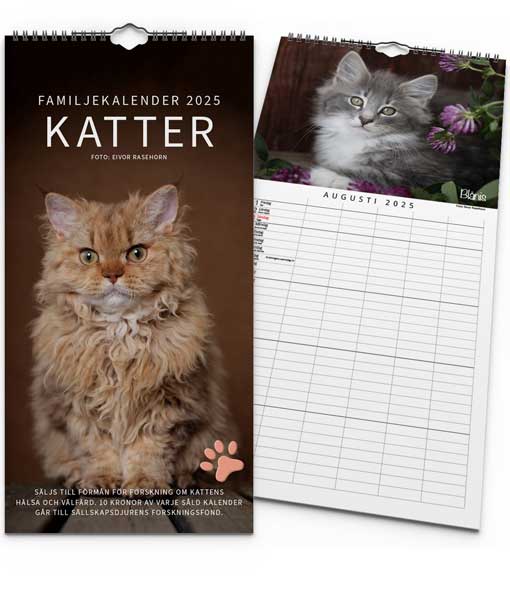 Familjekalender katter 2025 - Bild 3