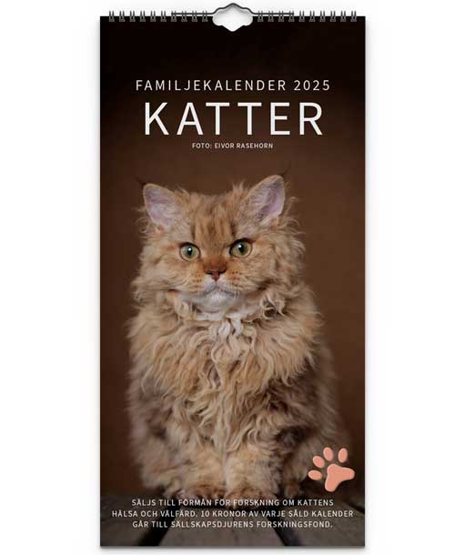 Familjekalender katter 2025 - Bild 2