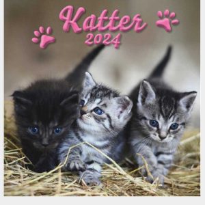 VÄGGKALENDER KATTER LARGE 2024