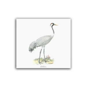 Trana – Mellanposter 330 x 310 mm