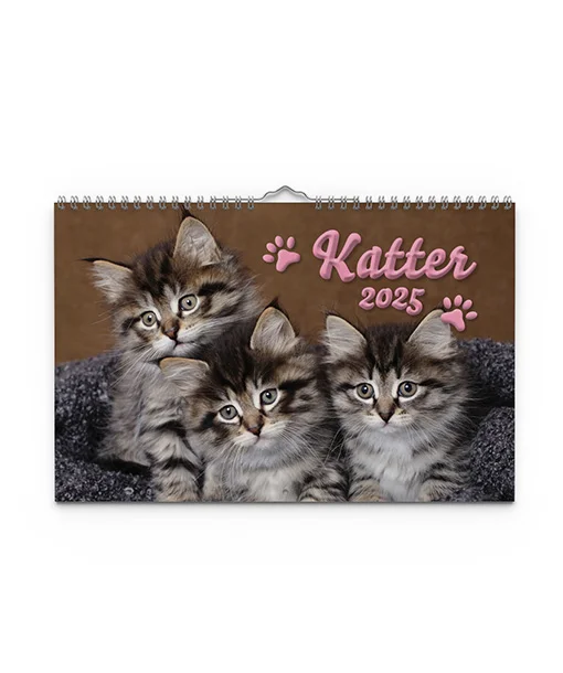 Katter- A4 väggkalender | 2025 - Bild 2