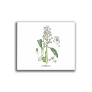 Sankt Pers Nycklar- Mellanposter 330 x 270 mm